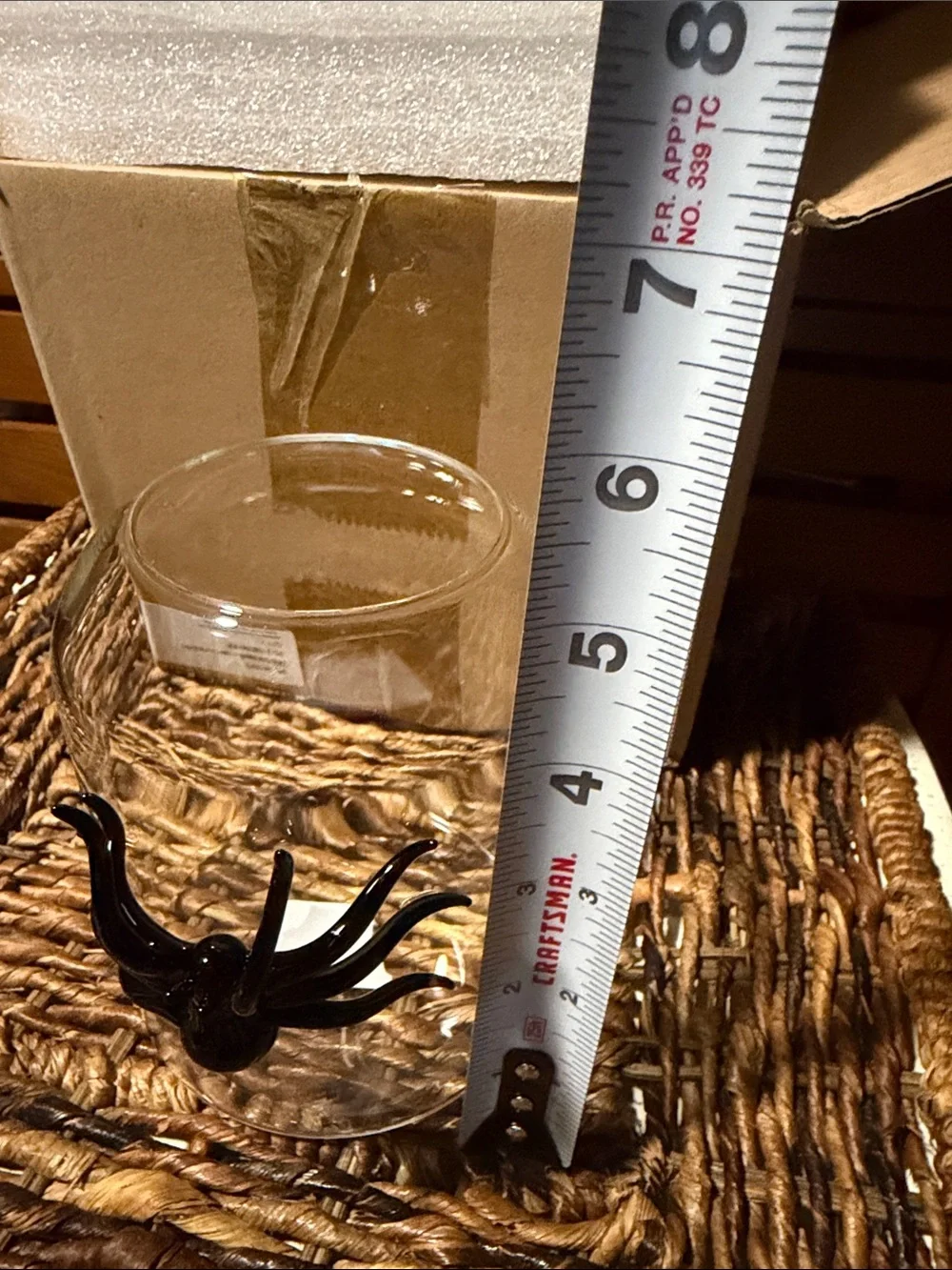 West Elm Clear Glass Dome Bud Vase with Black Spider 🕷️ Accent BBIB